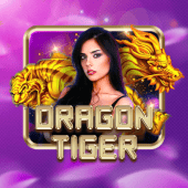 Dragon Tiger go8 pub